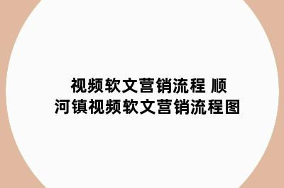 视频软文营销流程 顺河镇视频软文营销流程图